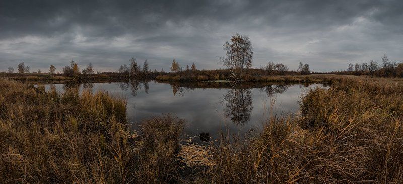 Мгновение до снегаphoto preview