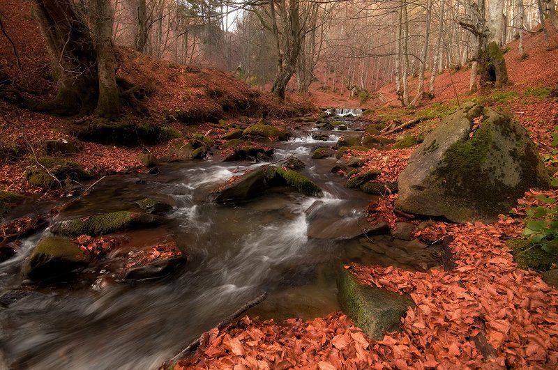 Autumn in Redphoto preview