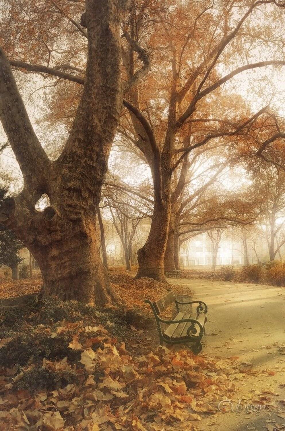 Autumn Whisper. Автор: odyssey , odyssey