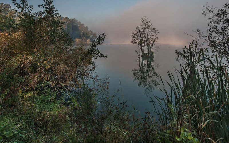 купавна., подмосковье Утиный островphoto preview