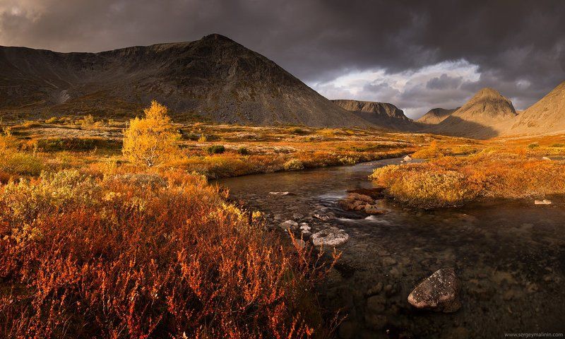 Autumn, Golden, Khibiny, Mountains, Горы, Кольский, Осень, Хибины В золотые минуты осени...photo preview
