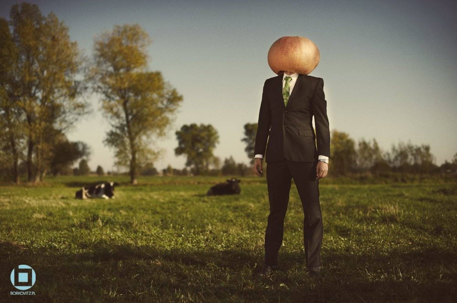 Mrs. Pumpkin. Автор: Bartek Borkowicz , Bartek Borkowicz