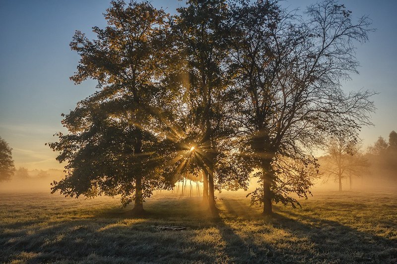 Утро в паркеphoto preview