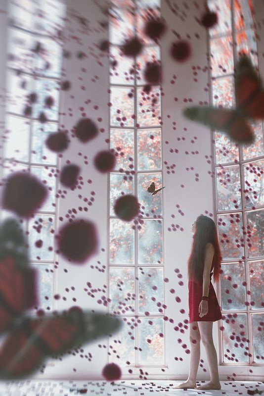 Alone in a daydreamphoto preview