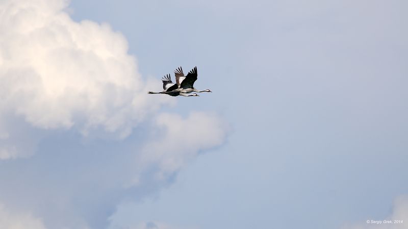 Небо на двоихphoto preview