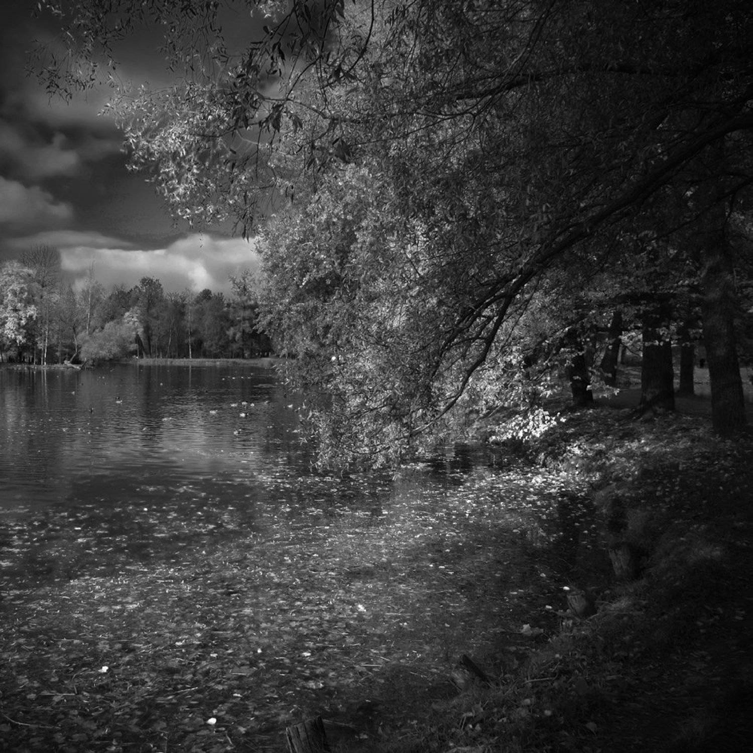 гатчина, Михаил Чурбанов