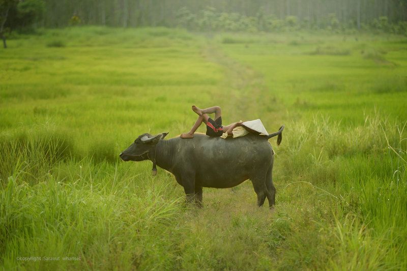 Happy timephoto preview