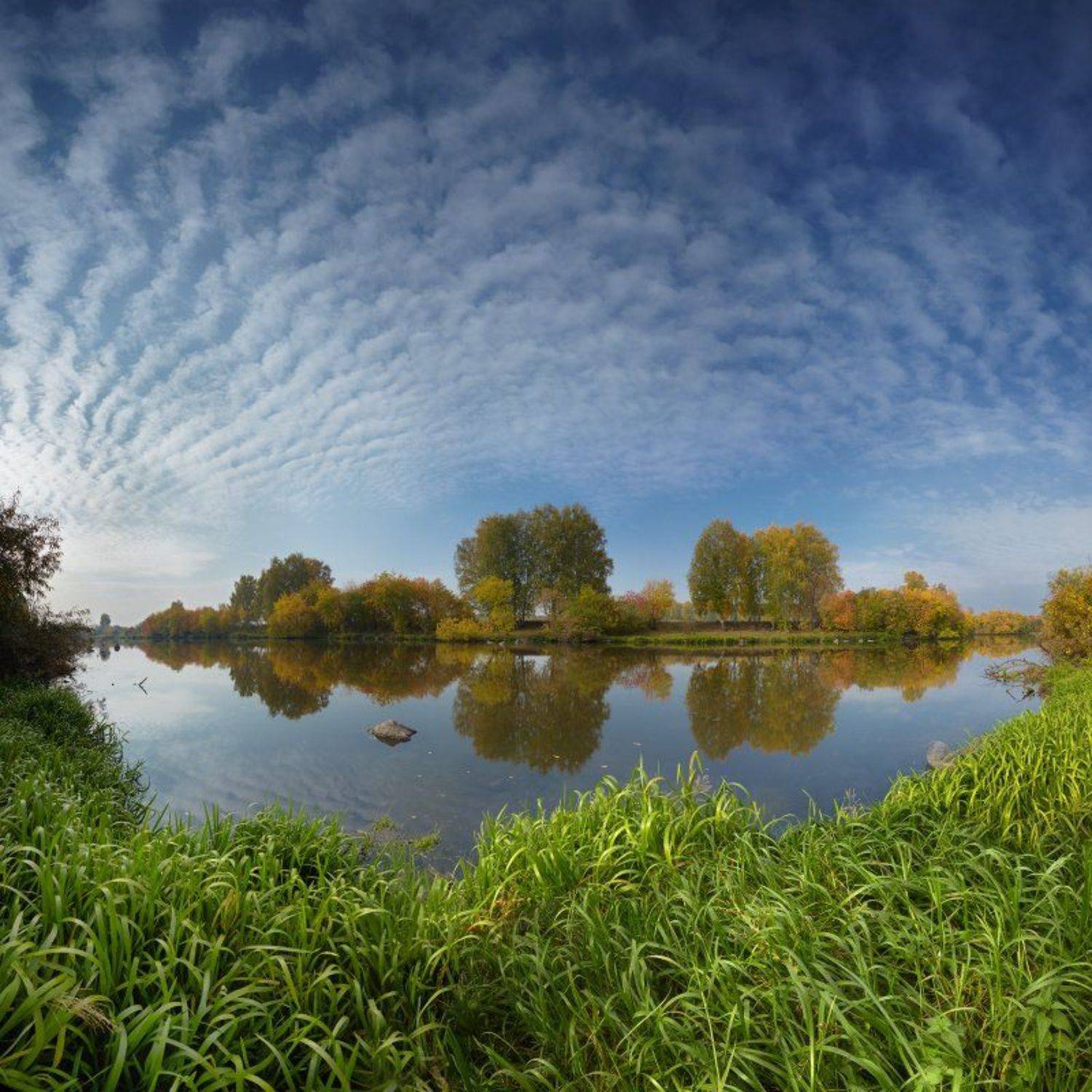 , Михаил Трахтенберг