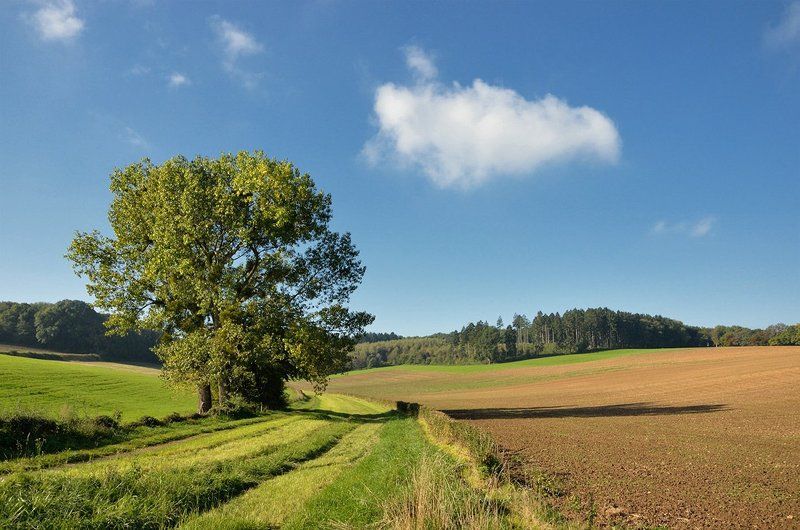 Сентябрьphoto preview