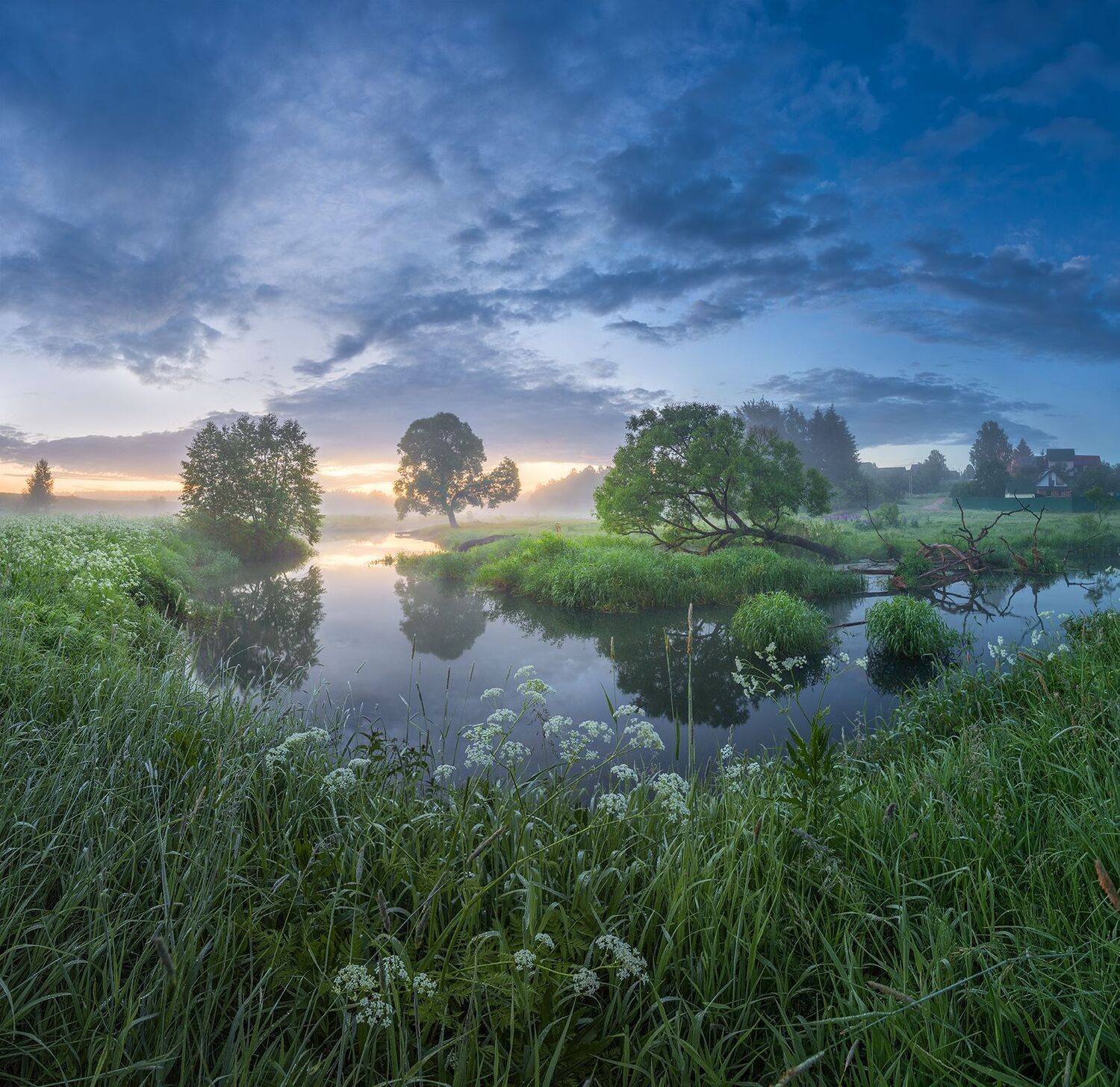 Автор: Николай Андреев , Николай Андреев