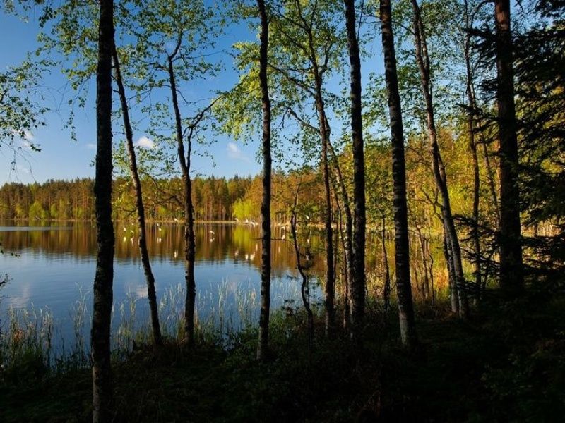 Утро на волшебном озереphoto preview