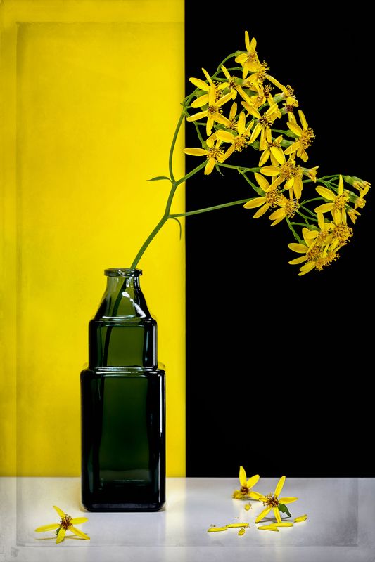 Натюрморт цветы арт-фото бутылка Относительностьphoto preview