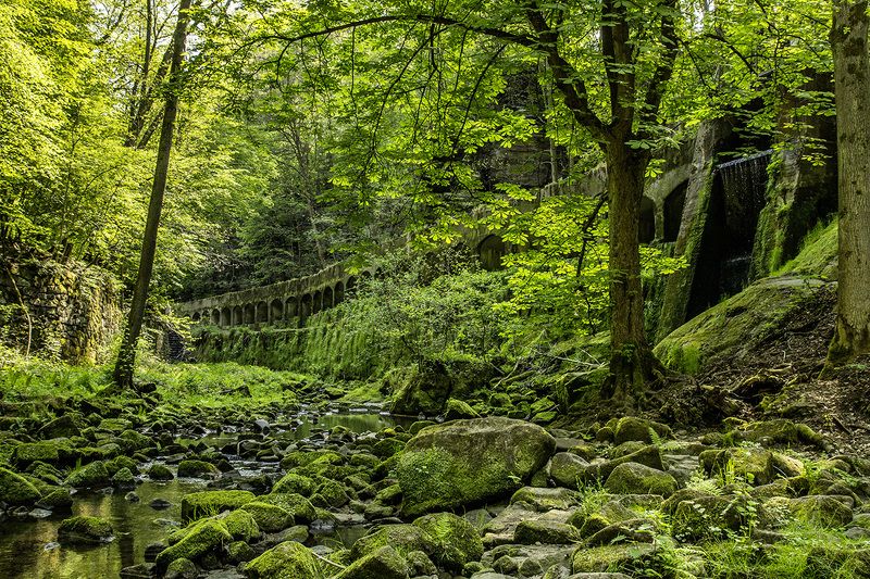 Sächsische Schweizphoto preview