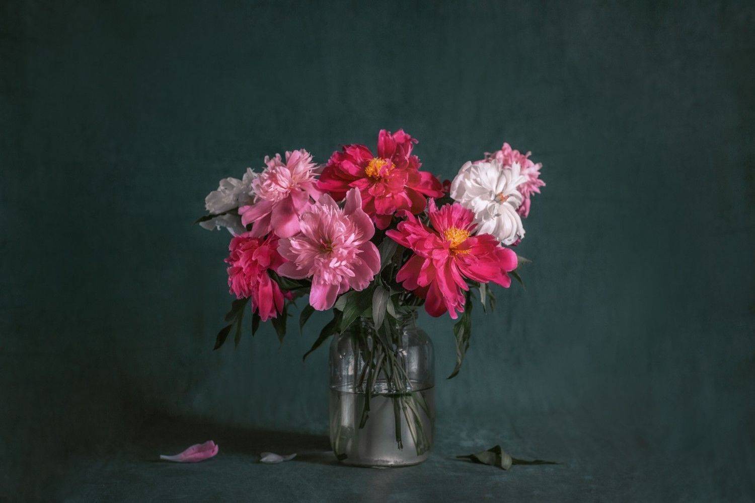 , Евневич Сергей