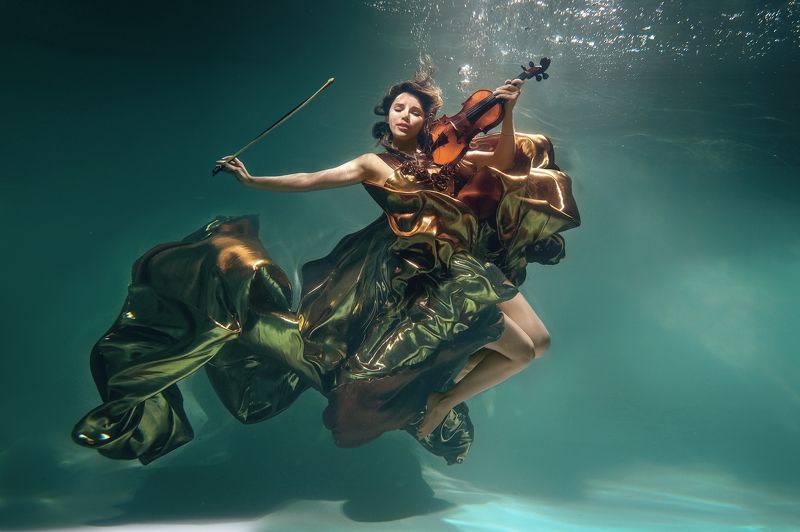 музыка сердцаphoto preview