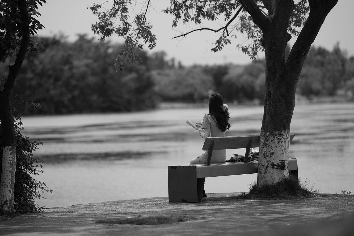 ***. Автор: 王锋 , 王锋