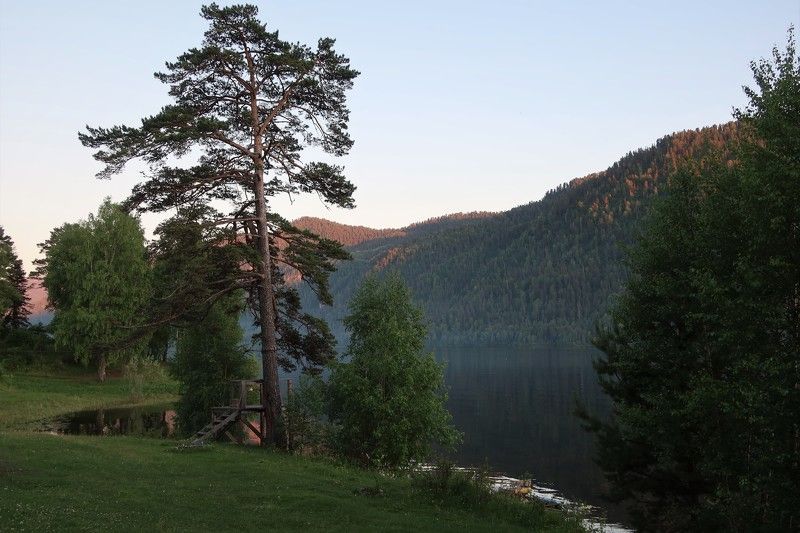 вечер,озеротелецкое,природа,дерево,сосна Вечереетphoto preview