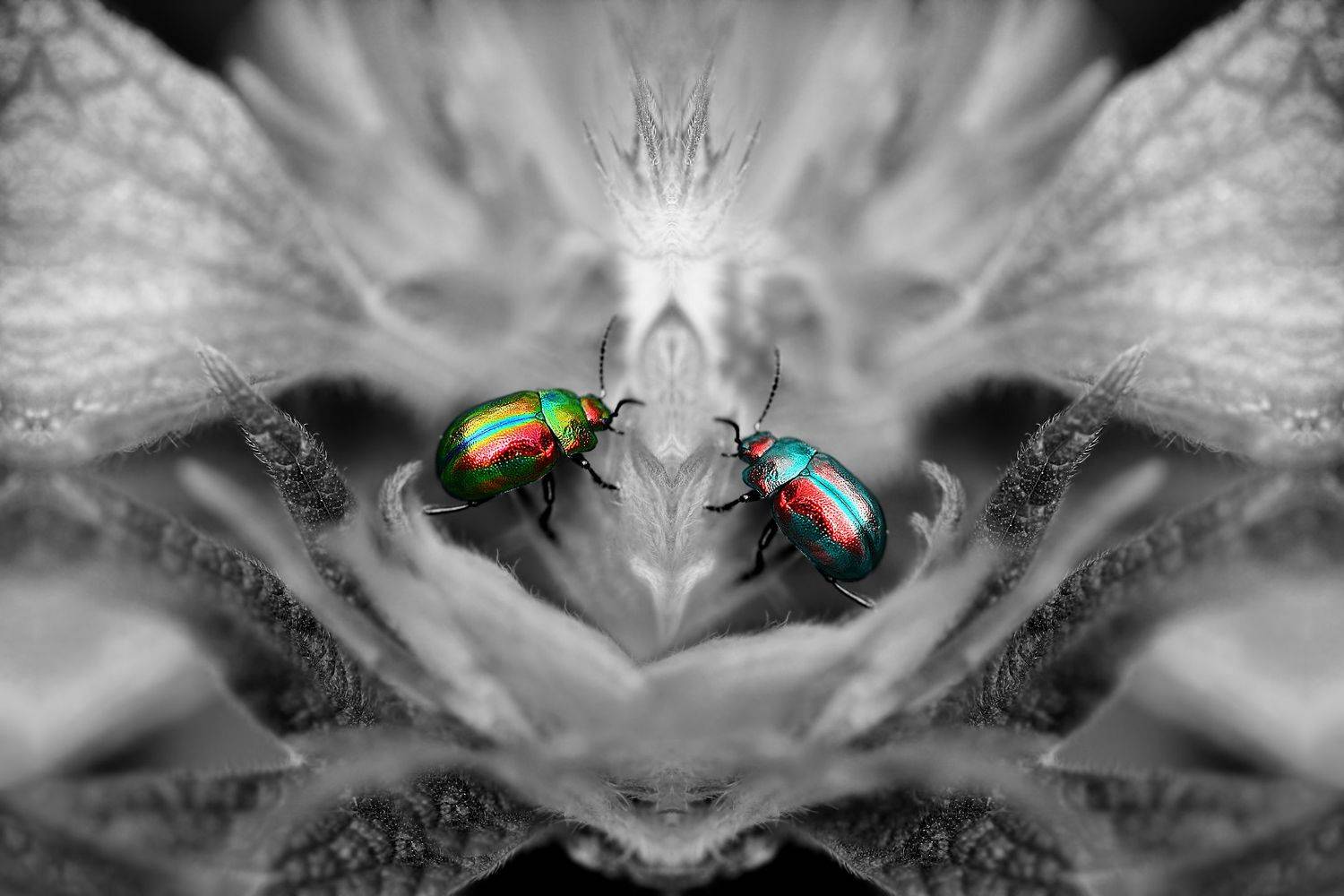 creative, креатив, концепция, коллаж, только, мы, двое, creative, conceptual, collage, fineart, Дмитрий Салтыков