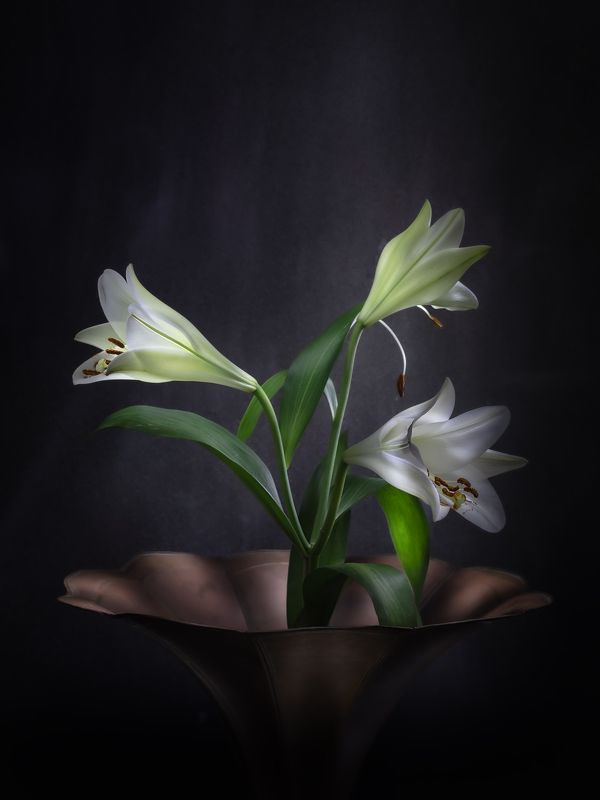 Натюрморт цветы лилии медная труба световая кисть Три лилииphoto preview