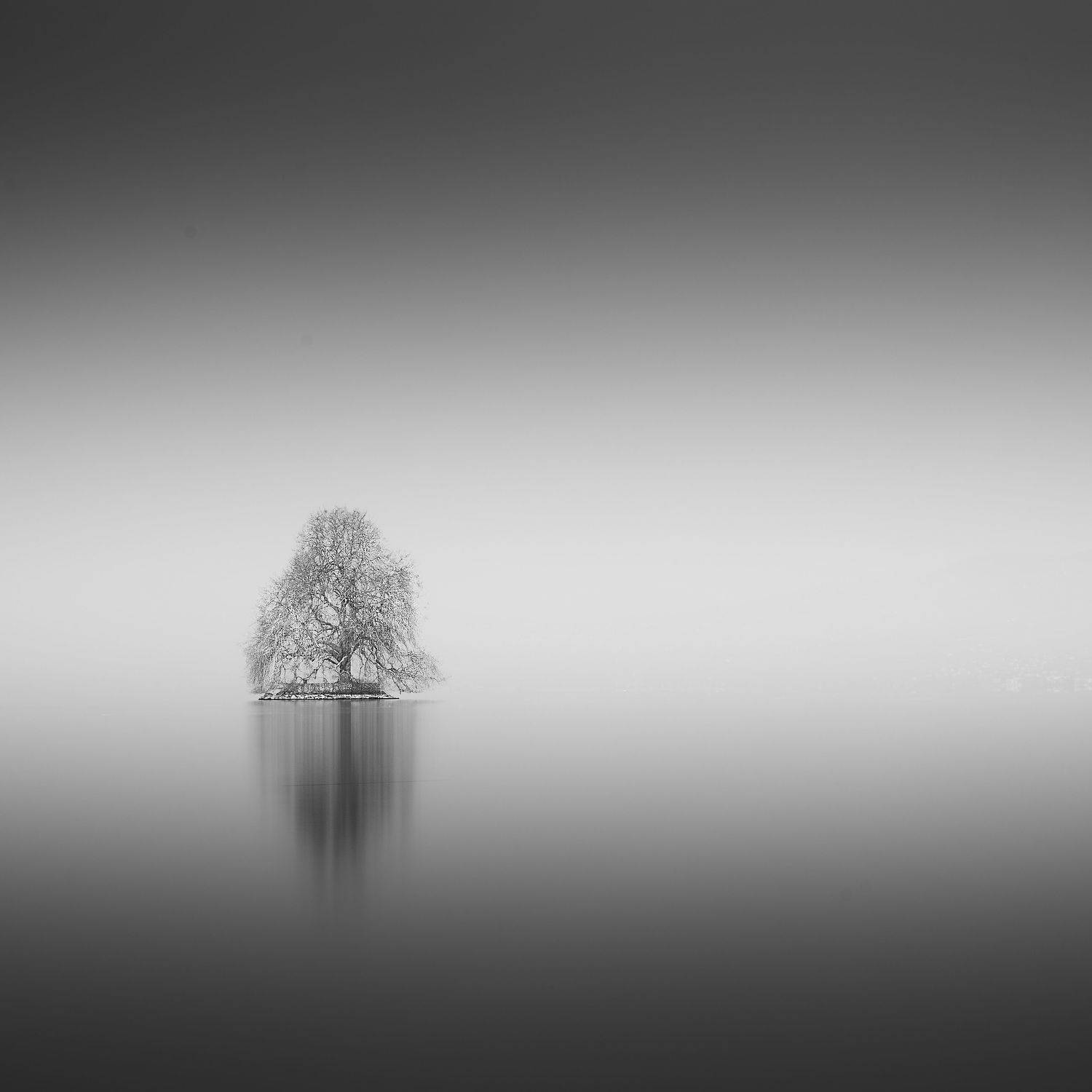 Alone. Автор: Felix Ostapenko Switzerland fog landscape tree Geneva lake long exposure, Felix Ostapenko