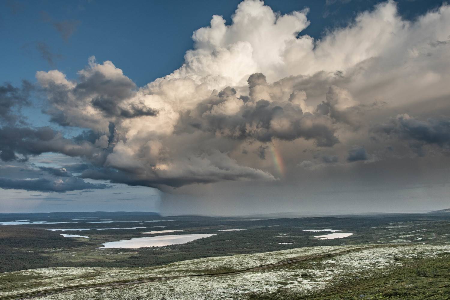 , Сергей Каверин