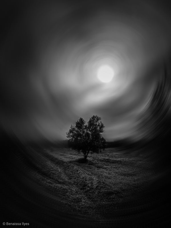 black and white, bnw, trees film, fine, night art Time vortexphoto preview