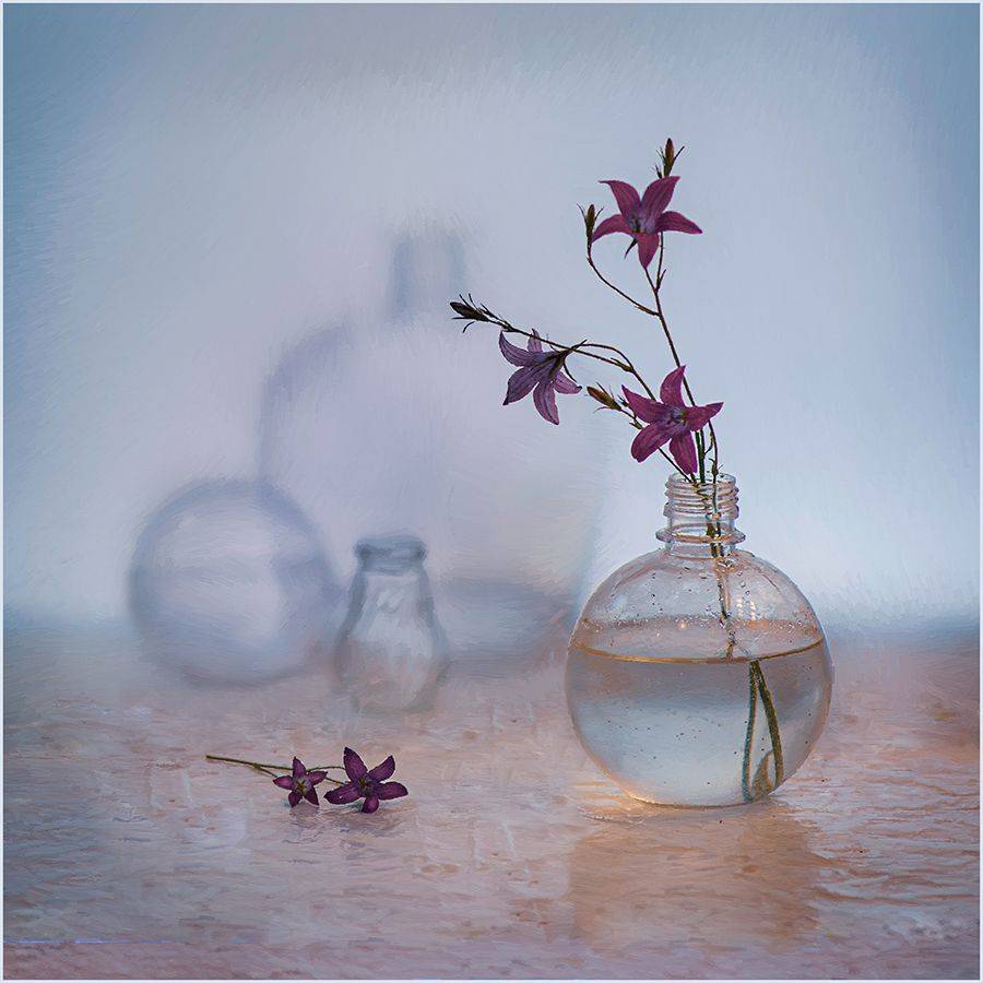 б/н. Автор: Александр Швачко , Александр Швачко