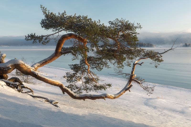 Ладога Остров Койонсаариphoto preview