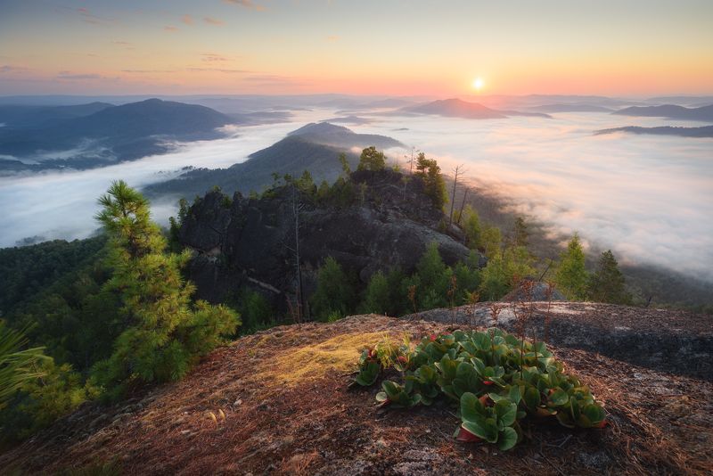 алтай, горный алтай, пейзажи алтая, турочакский район, салоп, туманное утро, летний рассвет, горы, восход солнца Турочакский восходphoto preview