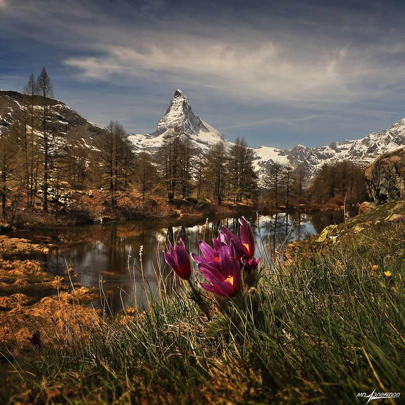 swiss,zermatt,швейцария,весна Весна...photo preview