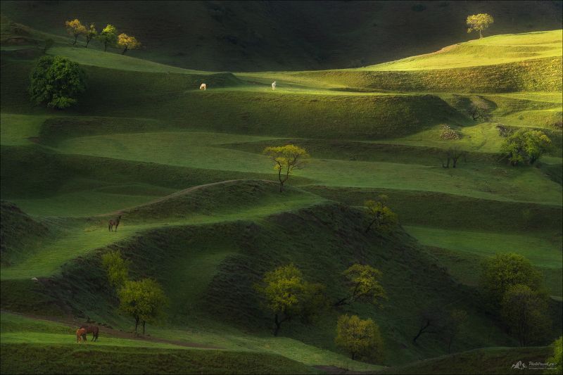 дагестан, чох, террасы, фототур в дагестан, кавказ, чохские террасы,гуниб, гунибский район, пейзажи дагестана Дагестанская пасторальphoto preview