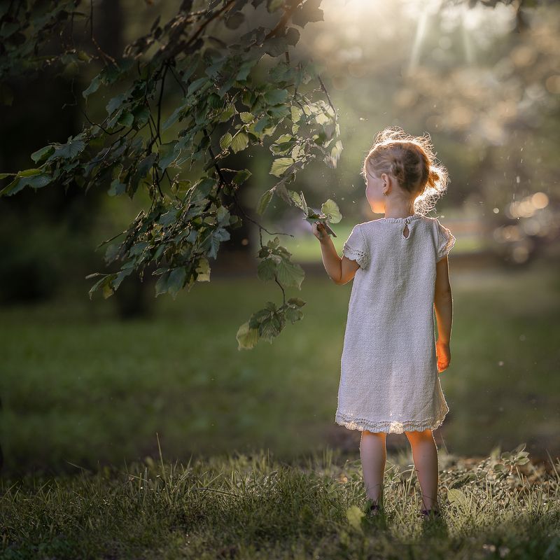 Walk in the sunshinephoto preview