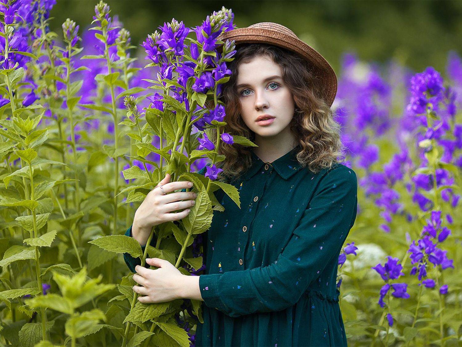 , Денис Котов