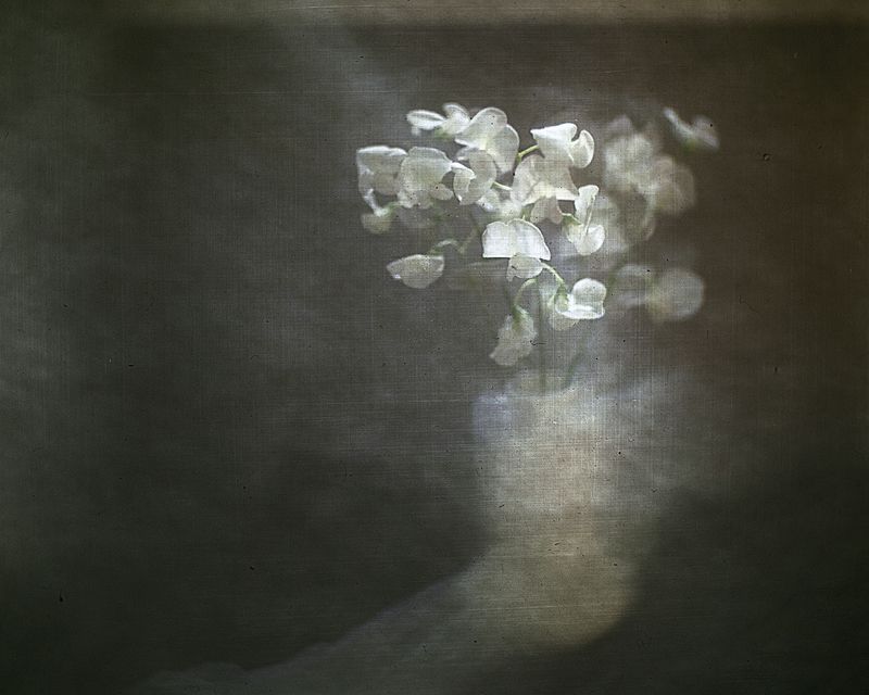 Сияние нежностиphoto preview