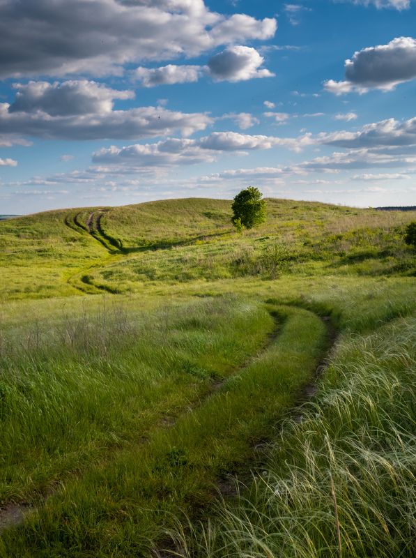 на полях старого осколаphoto preview