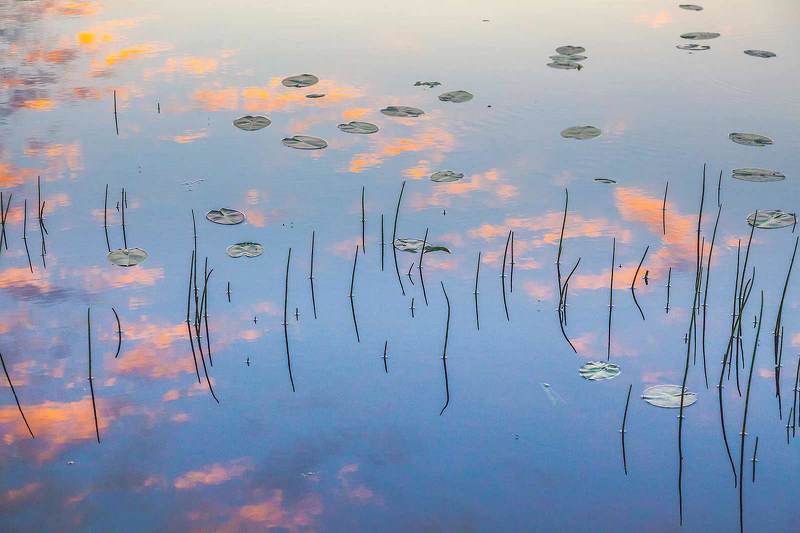 По стопам Монеphoto preview