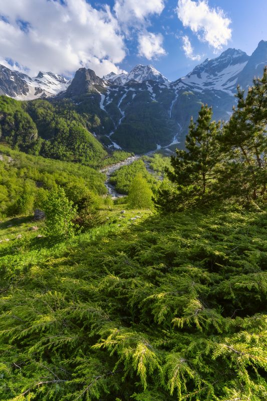 У склонов Таймазиphoto preview