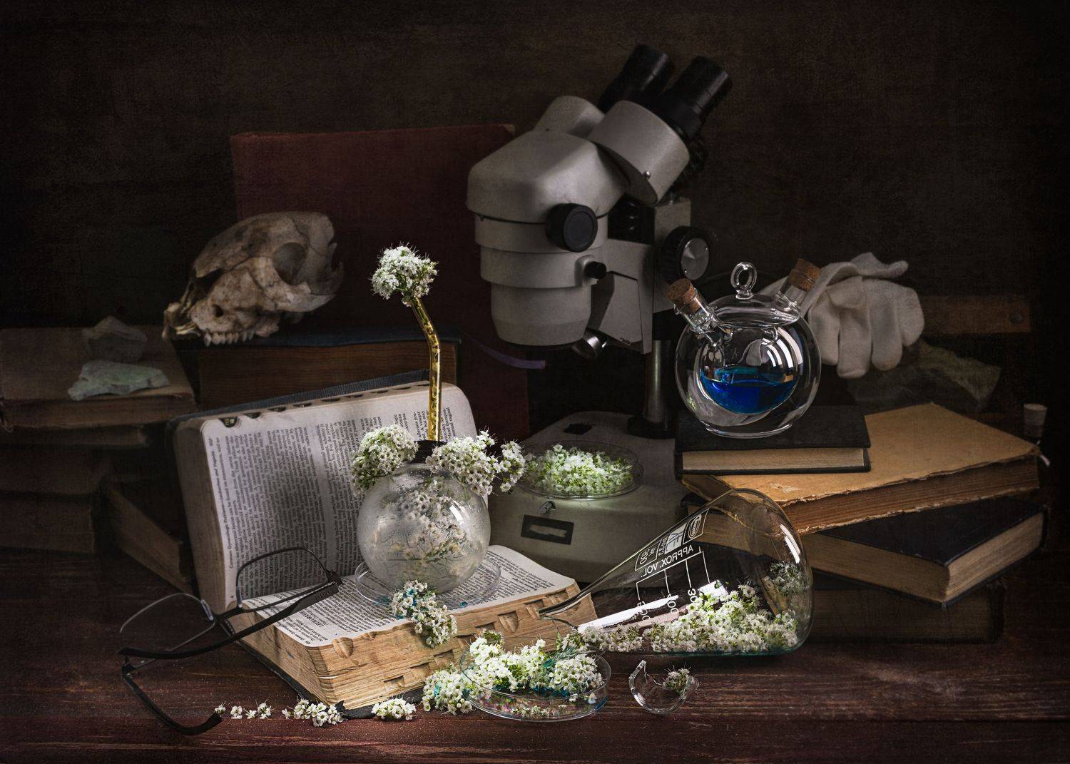 Эликсир жизни.. Автор: Вадим Кулинский Натюрморт цветы книги алхимия микроскоп череп животного, Вадим Кулинский