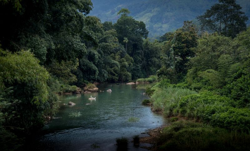 дождь, нд, шри ланка, река, rain, river, fujifilm xt3, шри-ланка, шри ланка нд Дождливый деньphoto preview