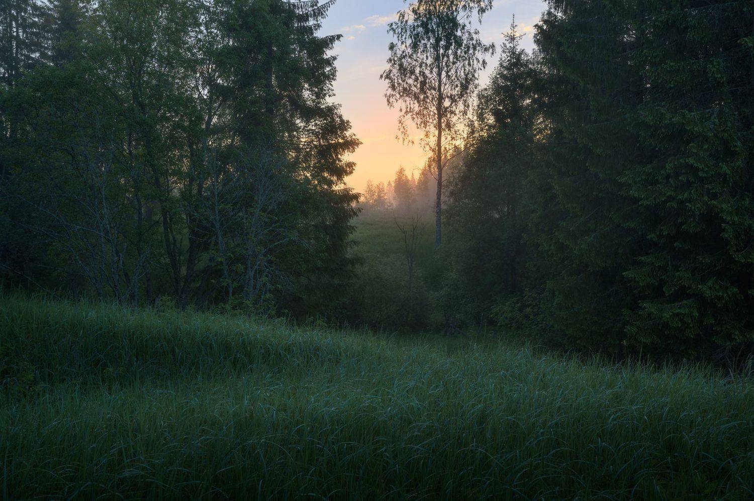 новгородская область,, Роман Фабричный