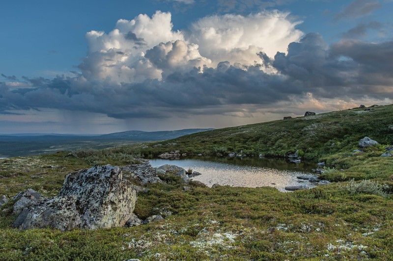 Лето в тундреphoto preview