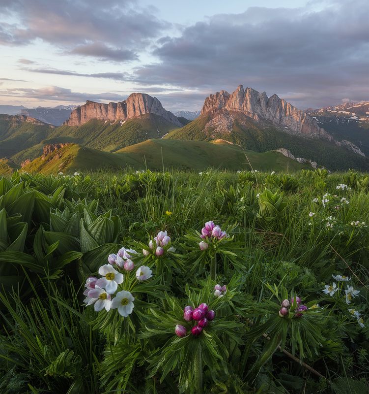 западный кавказ, ачешбок, лето, рассвет Ачешбокphoto preview