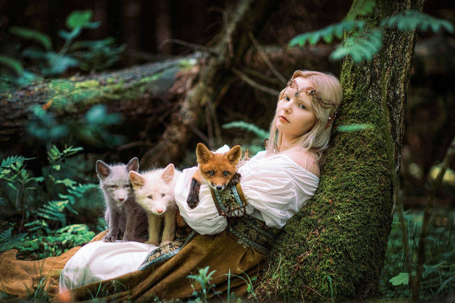 Автор: Александра Савенкова , Александра Савенкова