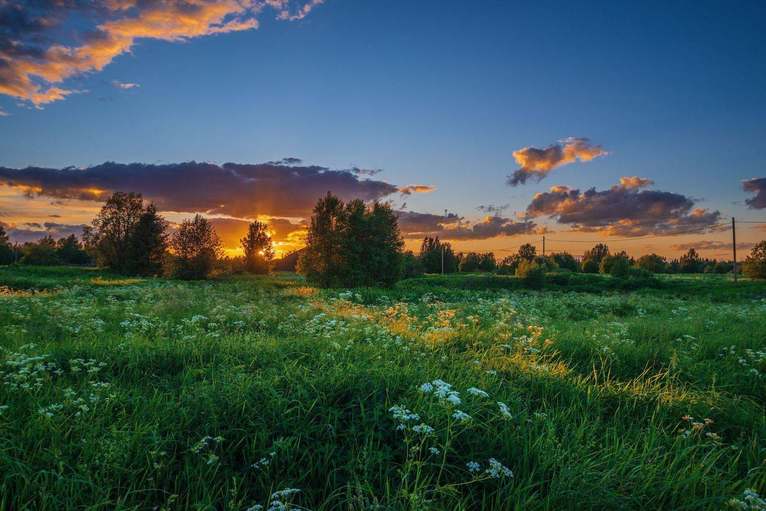великий двор,вологодчина,кема,север, Роман Горячий