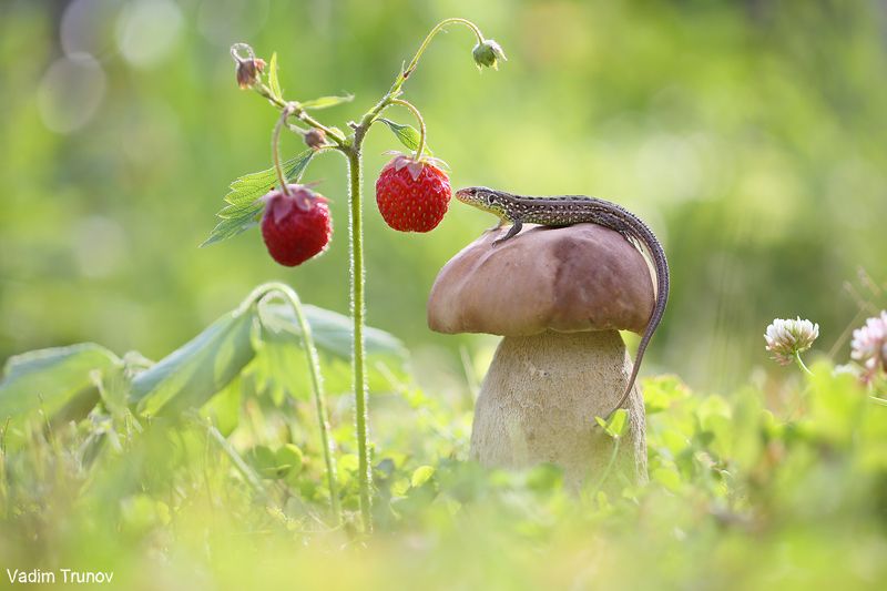 Летний позитив фото превью