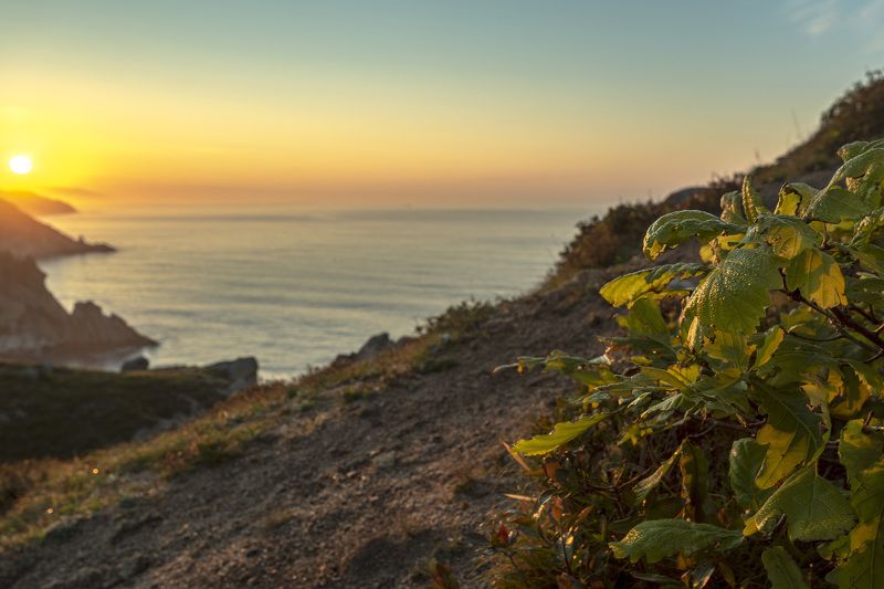 рассвет, роса, берег photo preview
