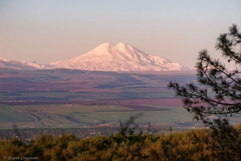 эльбрус, гора, пейзаж, утро, рассвет, весна, пятигорск Эльбрус на рассветеphoto preview