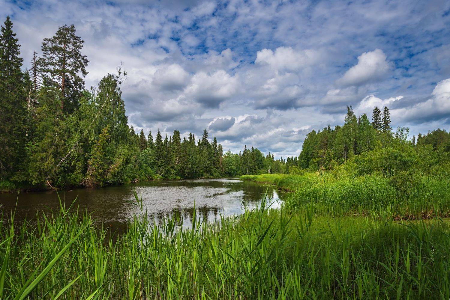 ***. Автор: Роман Горячий , Роман Горячий