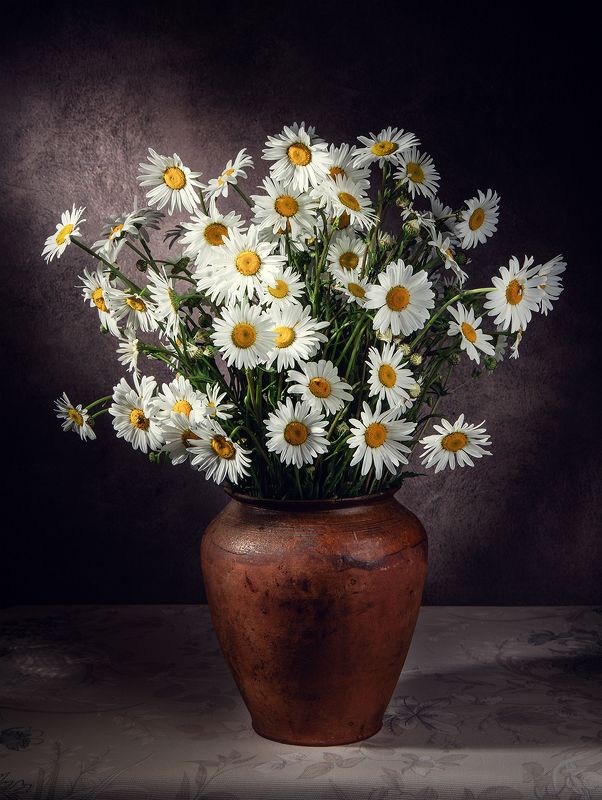 Ромашкиphoto preview