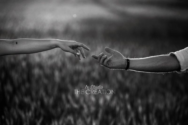 creation фото превью